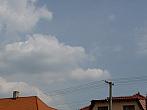 Třibřichy